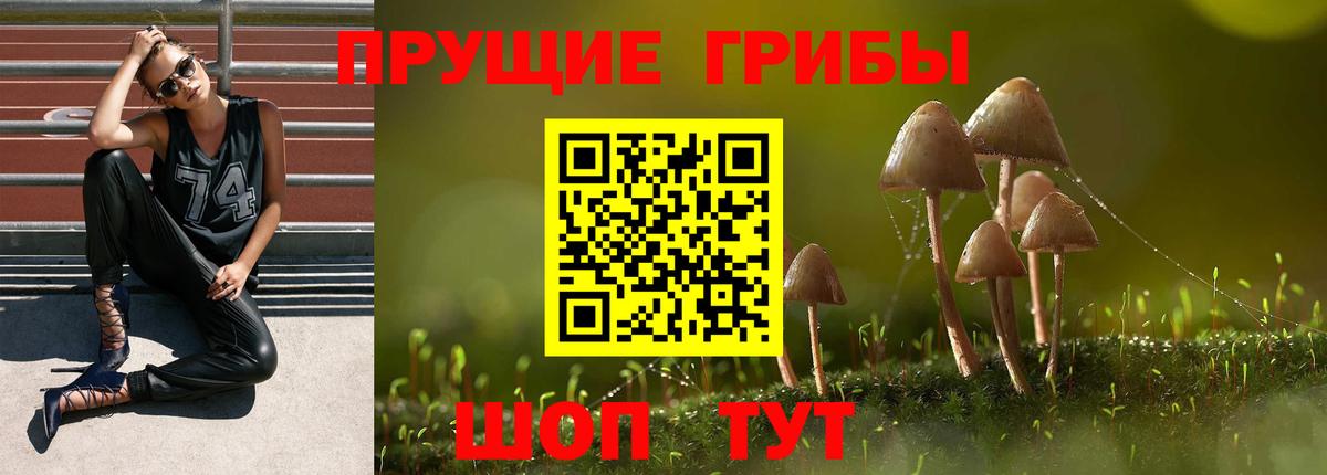 Ханты-Мансийск  Псилоцибиновые грибы мицелий  Вход с VPN  Галлюциногенные грибы Psilocybine cubensis 